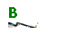 Text Box: B W3