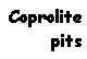Text Box: Coprolite pits
