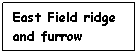 Text Box: East Field ridge and furrow